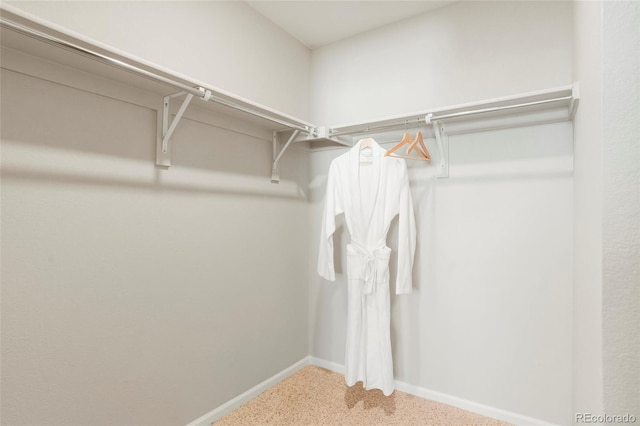 6041 N Orleans St, Aurora, CO 80019 - walk in closet with carpet