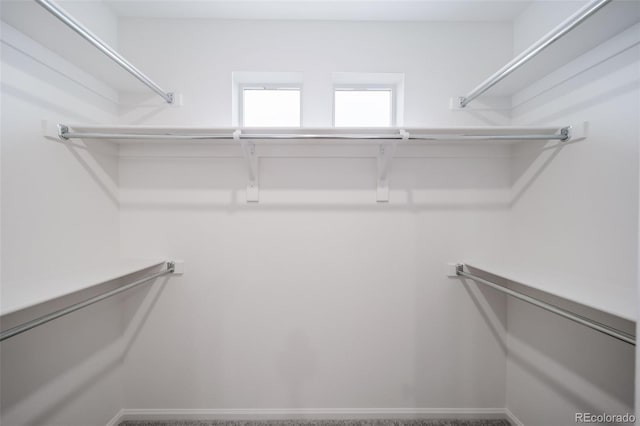 view of spacious closet