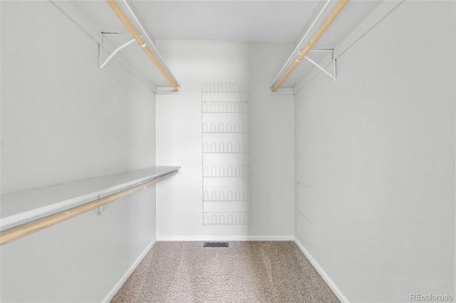 1740 S Ammons St Unit C, Lakewood, CO 80232 - walk in closet with carpet flooring