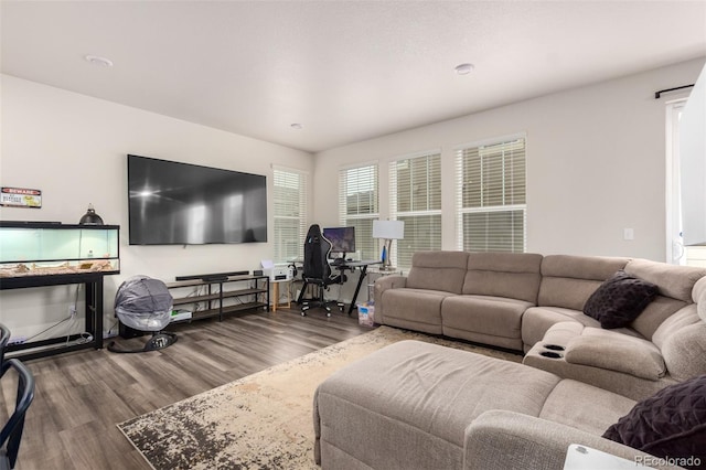 living room featuring hardwood / wood-style flooring