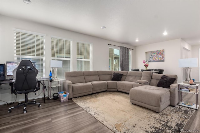 living room featuring hardwood / wood-style floors