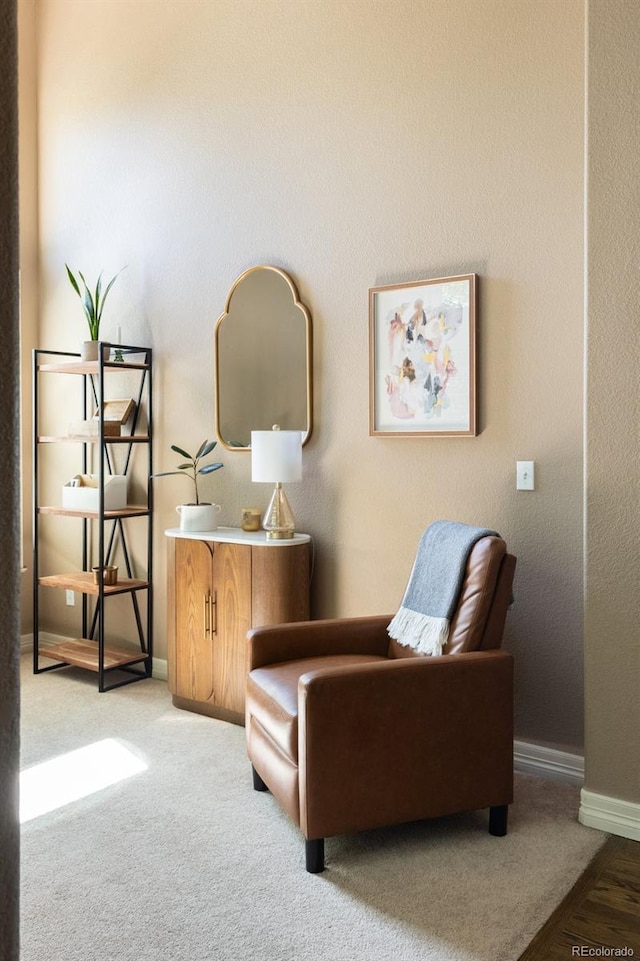 2214 E 101st Ave, Thornton, CO 80229 - sitting room with baseboards
