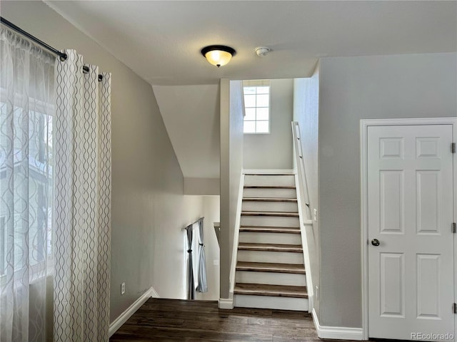 stairway with hardwood / wood-style floors