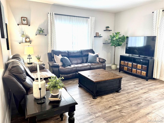 living room with hardwood / wood-style floors