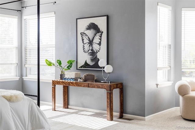 bedroom with carpet floors, baseboards, and multiple windows