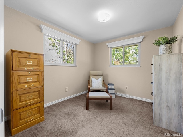 4779 S Owens Way, Littleton, CO 80127 - sitting room with carpet flooring and baseboards