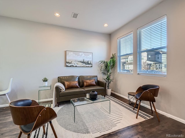 living room featuring hardwood / wood-style floors