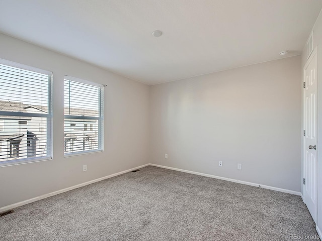 spare room featuring carpet floors