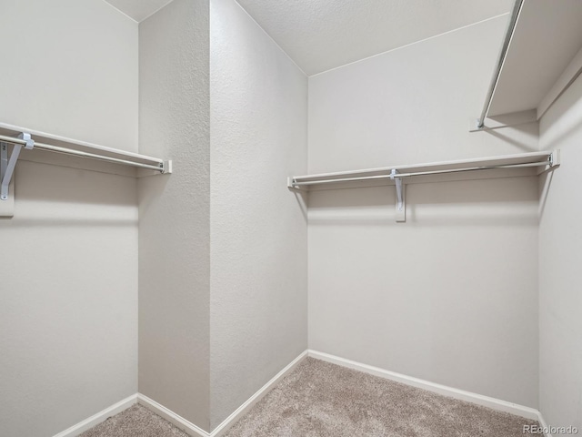 walk in closet with carpet flooring