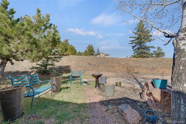 481 Sunrise Dr, Golden, CO 80401 - photo 29