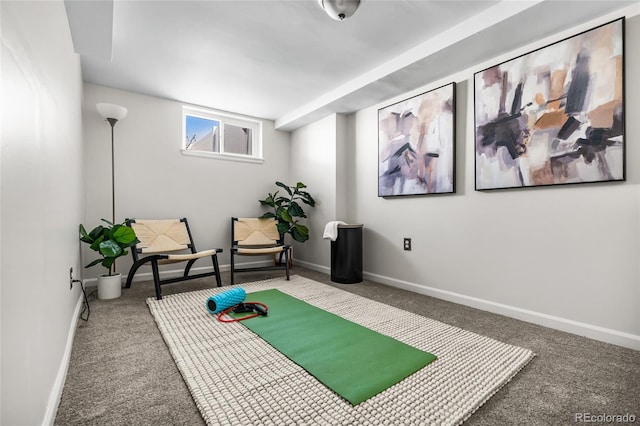 exercise area with carpet floors