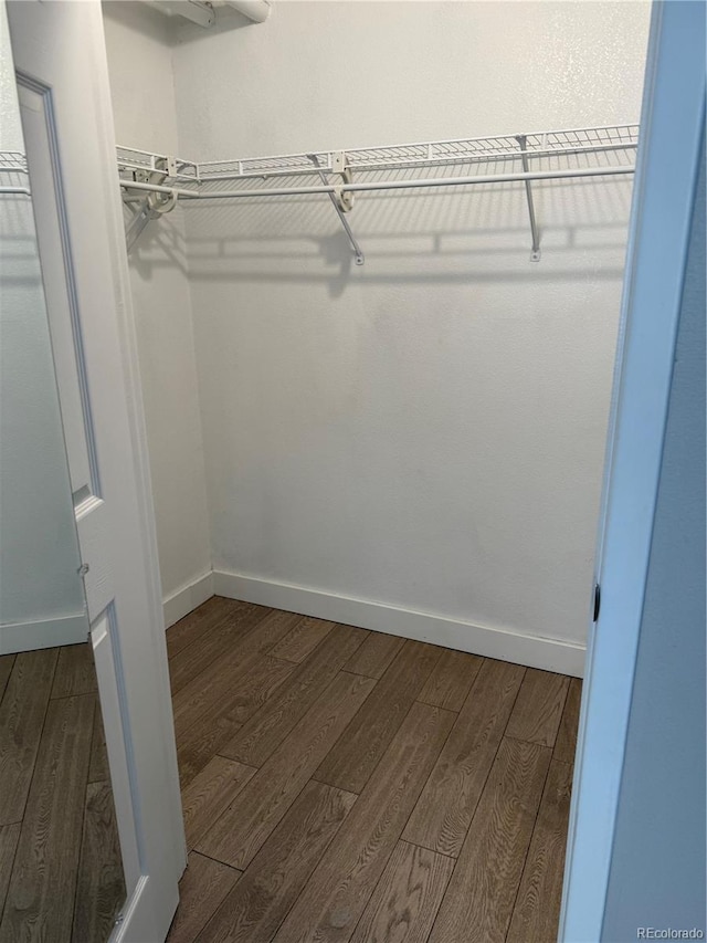444 17th St Unit 508, Denver, CO 80202 - walk in closet featuring dark wood-type flooring