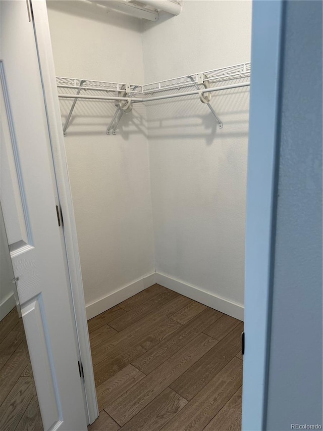 444 17th St Unit 508, Denver, CO 80202 - walk in closet featuring dark wood-style floors