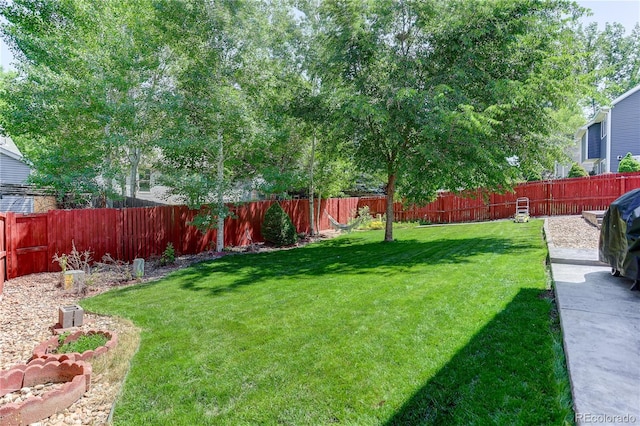 647 Florence Ave, Firestone, CO 80520 - photo 19