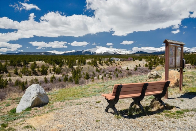 140 Eighth St, Fairplay, CO 80440 - mountain view