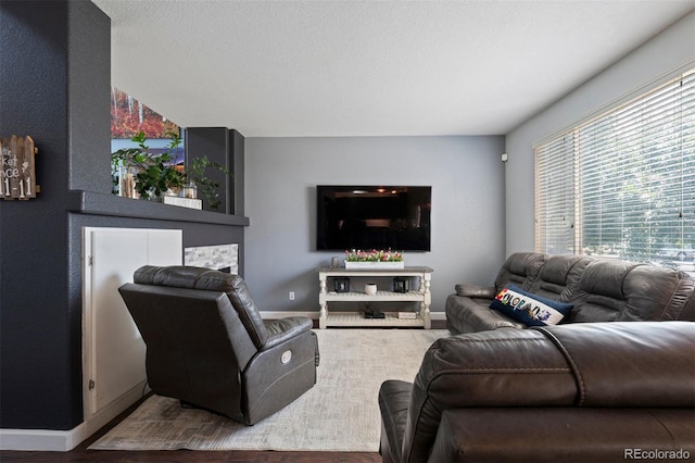 16086 E 97th Pl, Commerce City, CO 80022 - living room featuring wood finished floors and baseboards