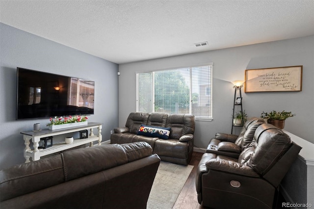 16086 E 97th Pl, Commerce City, CO 80022 - living room featuring light wood-type flooring and a textured ceiling