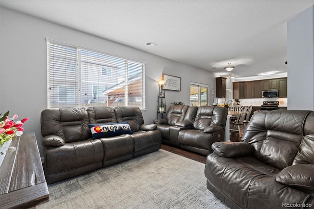 16086 E 97th Pl, Commerce City, CO 80022 - living area with light wood-style flooring