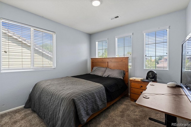 16086 E 97th Pl, Commerce City, CO 80022 - bedroom featuring dark carpet and multiple windows