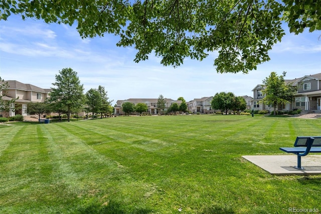 16086 E 97th Pl, Commerce City, CO 80022 - view of grassy yard with a residential view