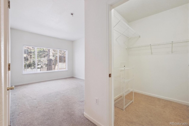 spacious closet featuring carpet floors