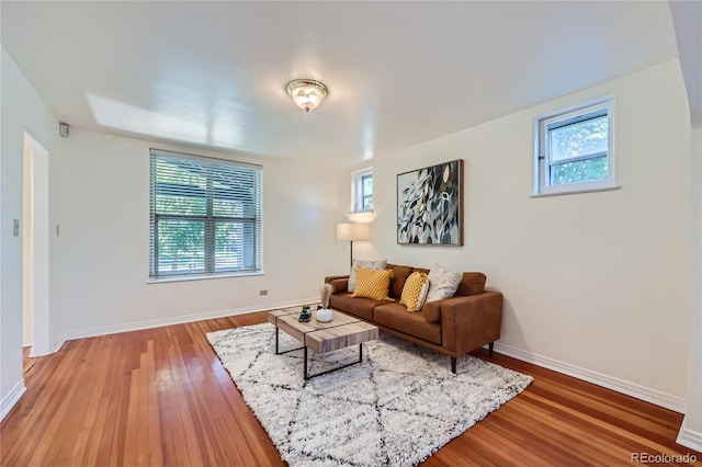 living room featuring wood-type flooring