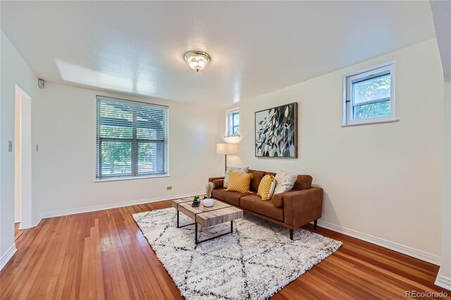 2854 Eliot St, Denver, CO 80211 - living room with baseboards, a wealth of natural light, and light wood-style flooring