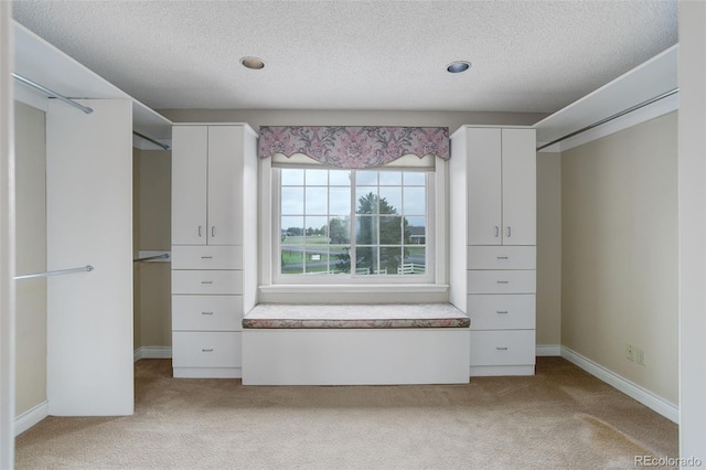 31 N Algonquian St, Aurora, CO 80018 - spacious closet with carpet flooring