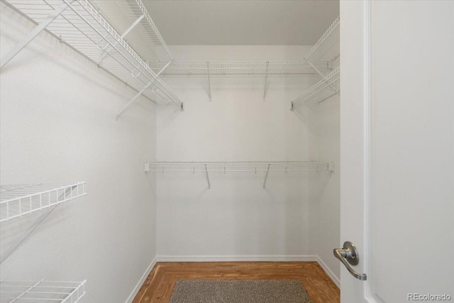 spacious closet featuring hardwood / wood-style floors