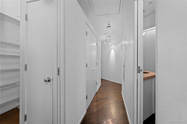 corridor featuring dark wood-style floors and attic access