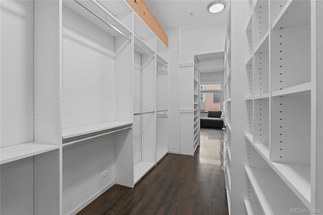 spacious closet featuring dark wood finished floors