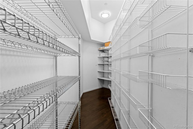 spacious closet with wood finished floors