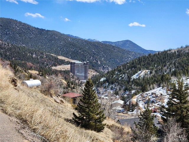 350 E 1st High St, Central City, CO 80427