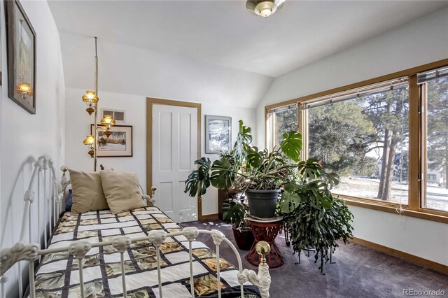21531 Main Ave, Golden, CO 80401 - photo 25
