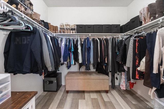 walk in closet featuring wood finished floors