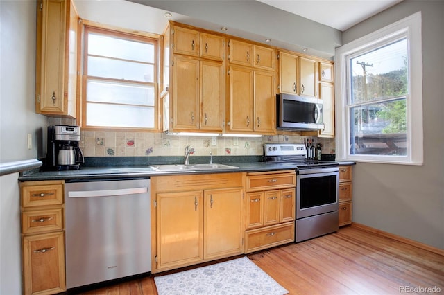 kitchen with appliances with stainless steel finishes, tasteful backsplash, light hardwood / wood-style flooring, and sink