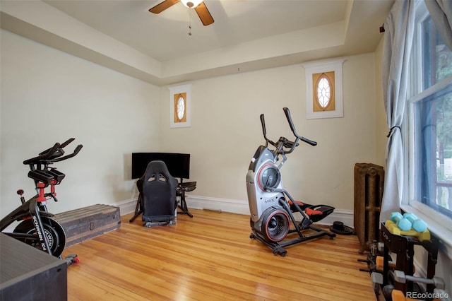 workout area with hardwood / wood-style flooring, plenty of natural light, and a tray ceiling