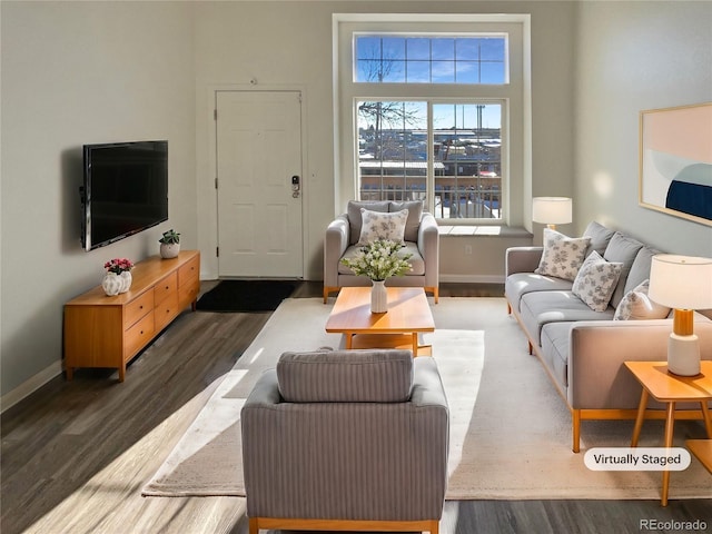 living room featuring dark wood-type flooring