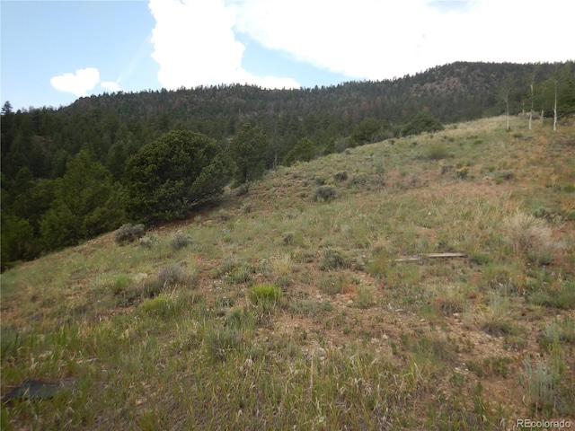 Listing photo 2 for 120 Fairway Ridge Ln, South Fork CO 81154