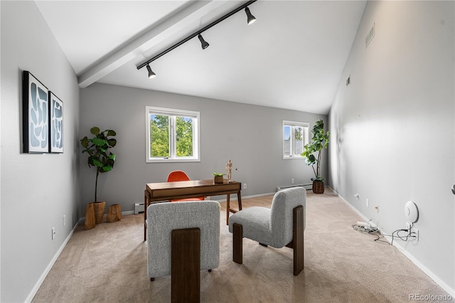 11715 W 18th Ave, Lakewood, CO 80215 - photo 40