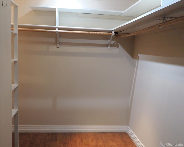 walk in closet featuring wood finished floors