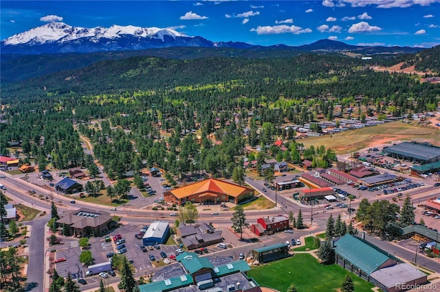 bird's eye view with a mountain view and a wooded view