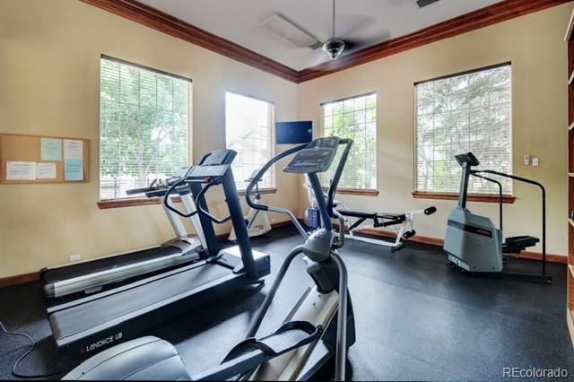 3864 Riviera Grv Unit 204, Colorado Springs, CO 80922 - exercise room featuring crown molding, baseboards, a ceiling fan, and visible vents