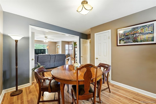 2461 Niagara St, Denver, CO 80207 - dining area featuring a ceiling fan and light wood-style floors