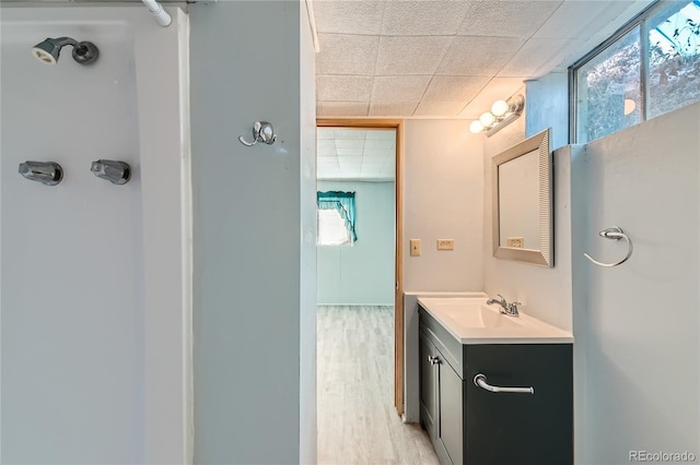 bathroom with vanity and hardwood / wood-style flooring