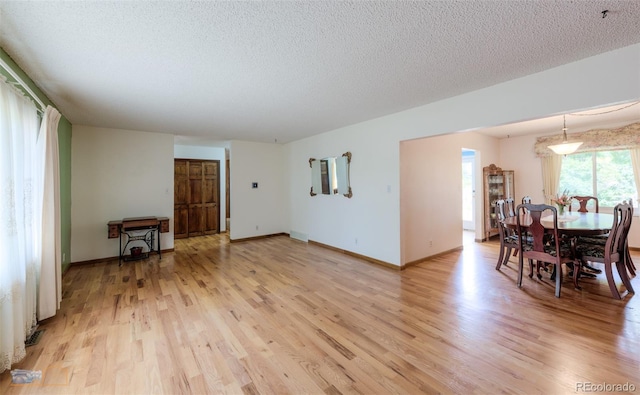 1813 Pikes Peak St, Erie, CO 80516 - living room featuring light wood-type flooring and a textured ceiling