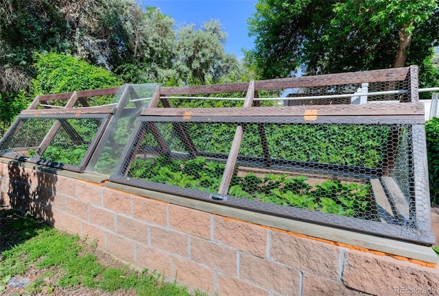 1813 Pikes Peak St, Erie, CO 80516 - view of gate