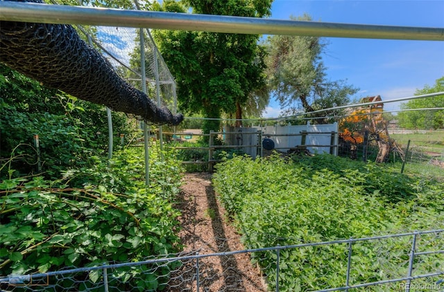 1813 Pikes Peak St, Erie, CO 80516 - view of yard