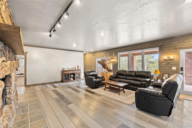 living room featuring track lighting, light hardwood / wood-style floors, and a fireplace