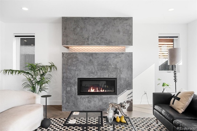 living room featuring dark hardwood / wood-style flooring